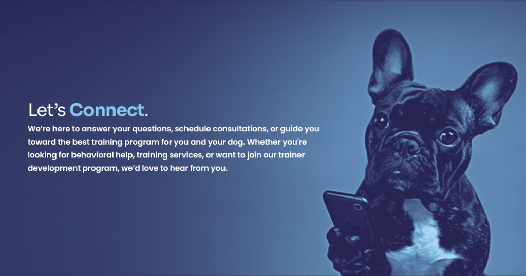 Expert Dog Training Contact Form | K9 Nation Support