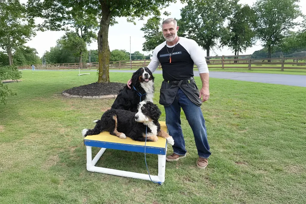 Board-and-Train-Listing