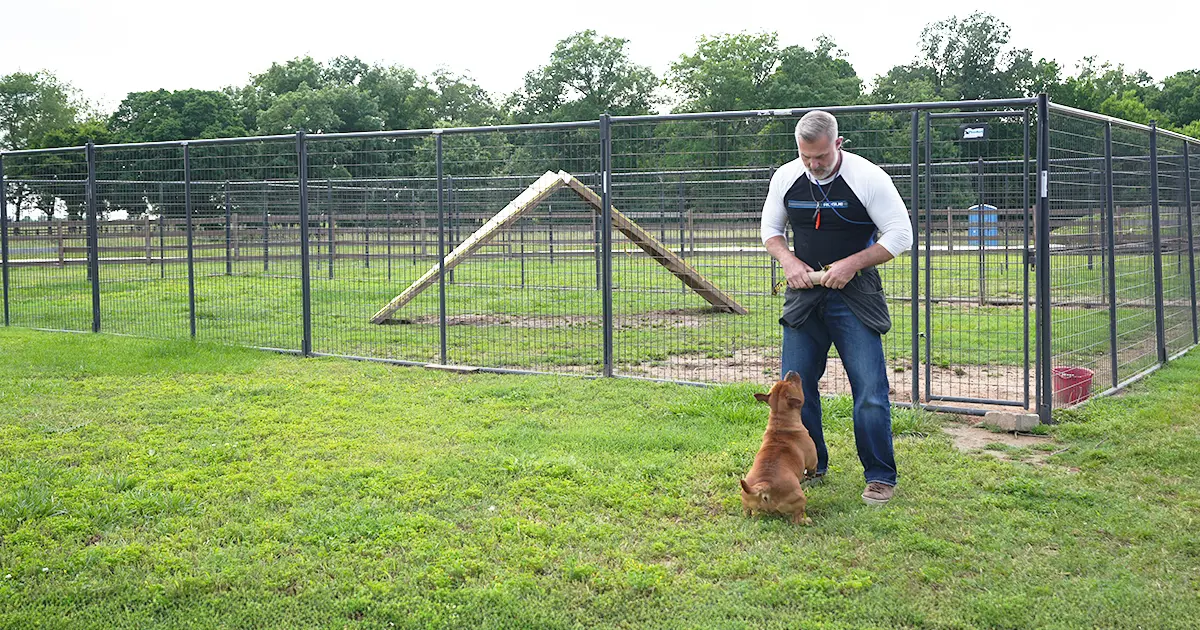 #1 Board and Train Program for Dogs in Arkansas