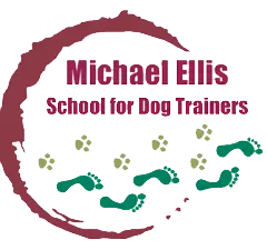 Michael Ellis School
