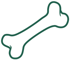 K9 Nation Training Center