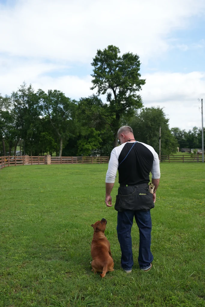 K9 Nation Training Center