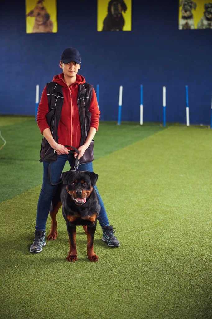 Trainer holding a dog on a taut leash during obedience training